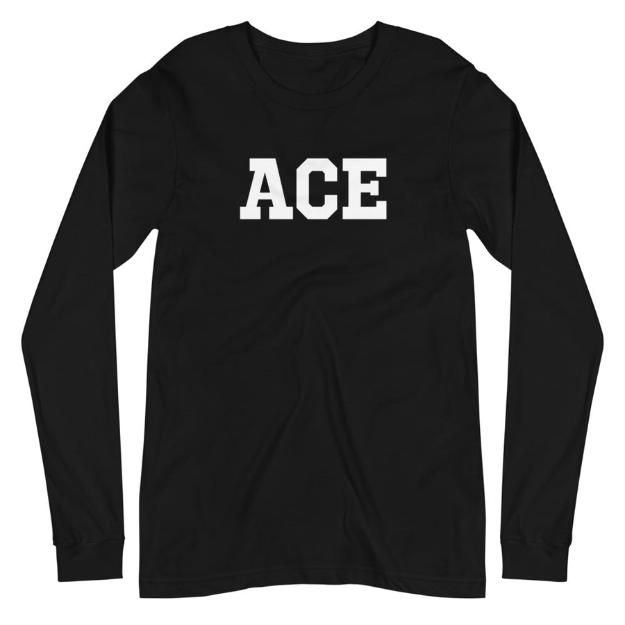 【特価日本製】ace long shirts トップス